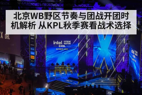 北京WB野区节奏与团战开团时机解析 从KPL秋季赛看战术选择